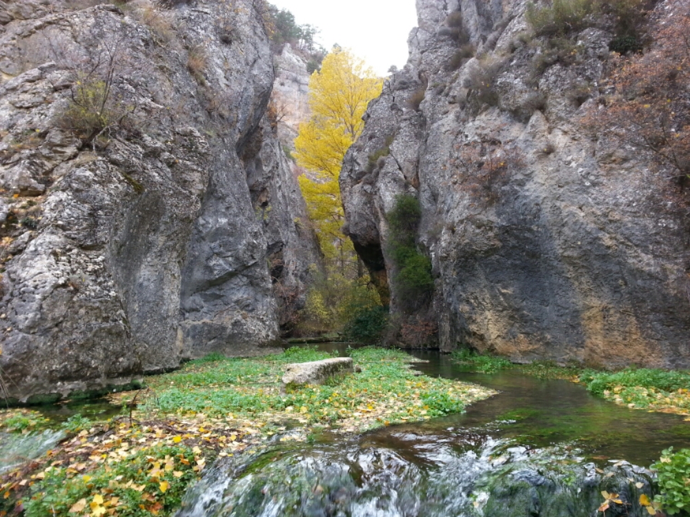 #FelizDomingo #1DeNoviembre #Regalos que te hace la #naturaleza y el #otoño. #Descubre #BarrancoHondo, el #mayor #cañón de la #SierraDeAlbarracín