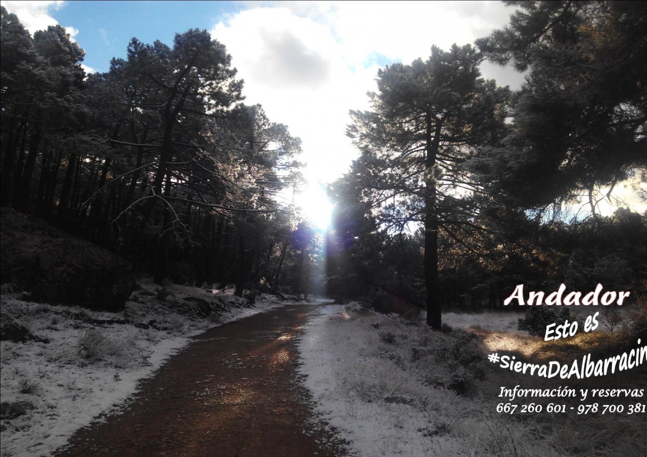 #FelizDomingo con #Nieve y #Turismo en #SierraDeAlbarracin