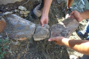 Noticia Diario de Teruel: La Fundación Dinópolis ha inventariado 30 nuevos yacimientos de dinosaurios en la Sierra de Gúdar en los últimos cinco años